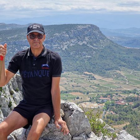 Trois Appartements Au Sein Du Mas Jams - Le Gouleyrous, Le Canigou Et Le Figarassa Vingrau Esterno foto