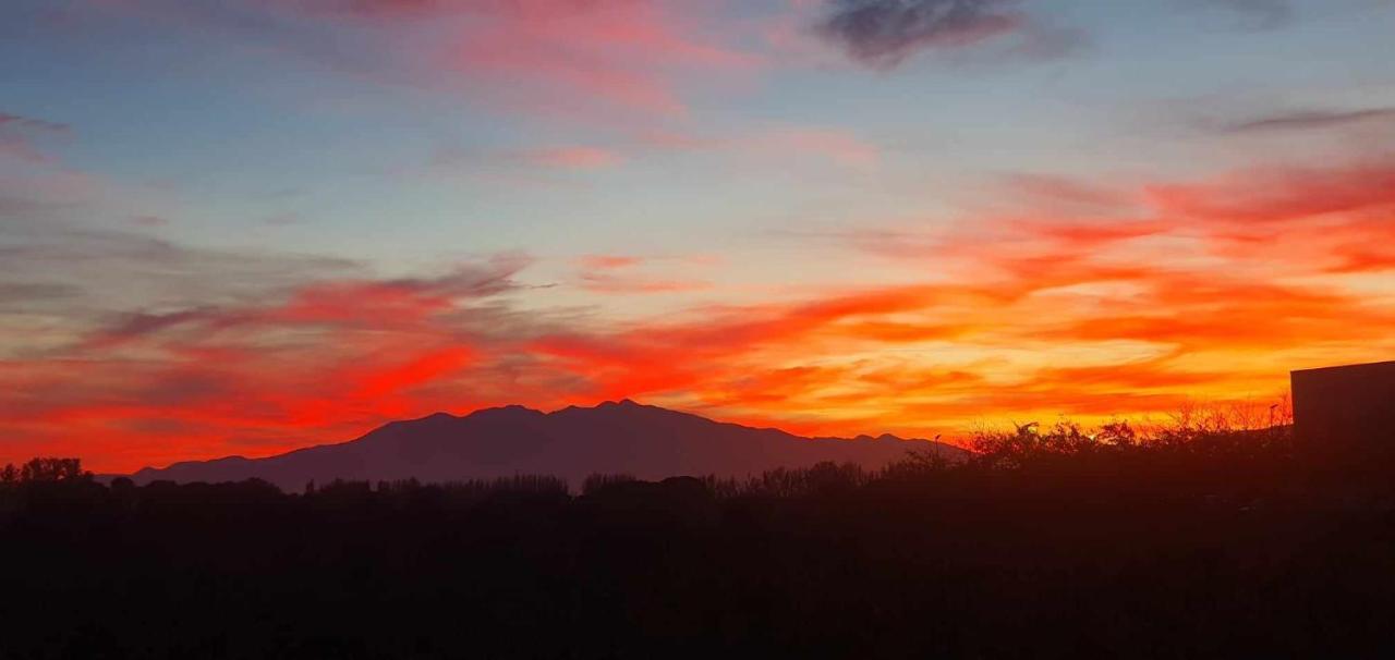 Trois Appartements Au Sein Du Mas Jams - Le Gouleyrous, Le Canigou Et Le Figarassa Vingrau Esterno foto